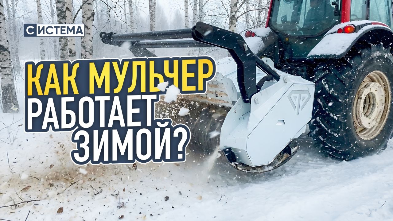 Как мульчеры работают зимой и почему зима — лучшее время для расчистки территории в России?