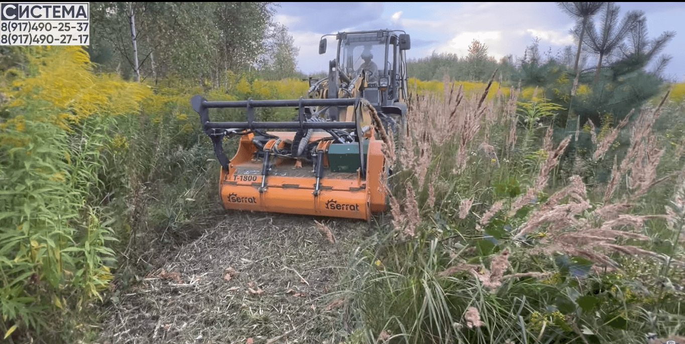 Мульчер с погрузчиком справится с заросшим участком