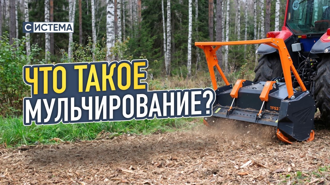 Что такое мульчирование? Руководство по выбору оборудования