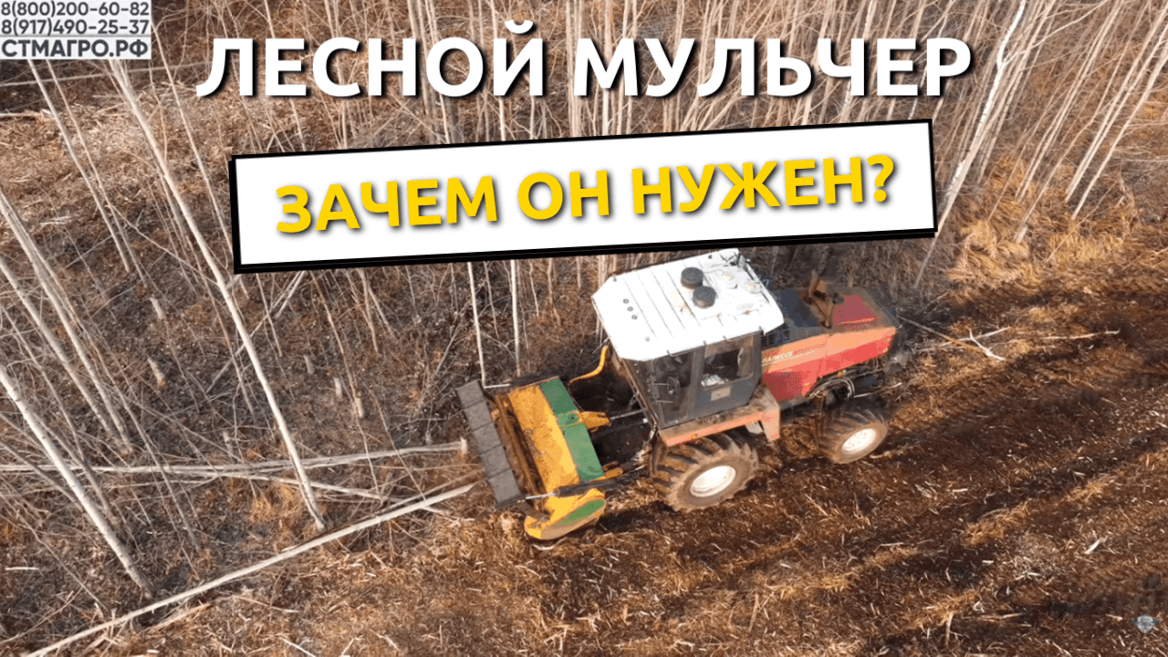 Лесной мульчер: для чего он нужен и какие у него особенности?