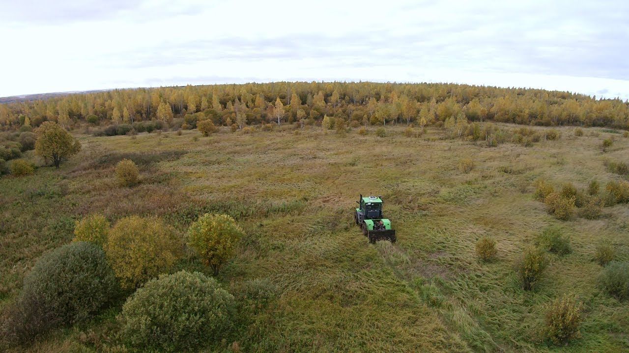 Освоение целинных земель. Ввод залежных земель в сельскохозяйственный оборот.