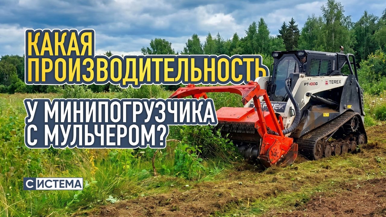 Сколько земли может расчистить минипогрузчик с мульчером за день?