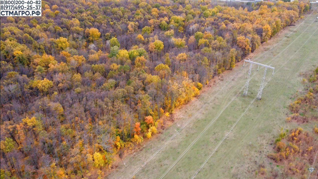 Расчистка под линиями электропередач мульчером