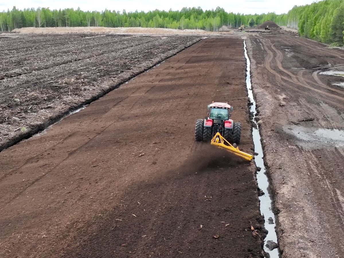 Профилировщик-бровкорез