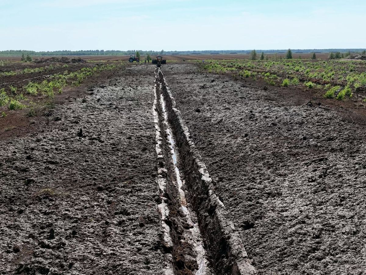 Траншеекопатель (Канавокопатель шнековый)