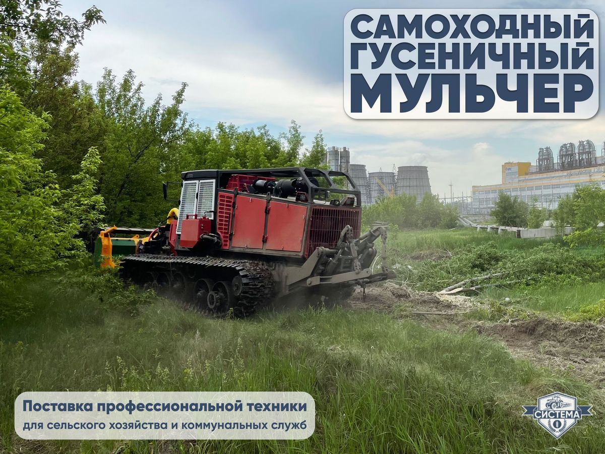 Самоходный гусеничный мульчер на базе ТЛП 4М (Алтай)