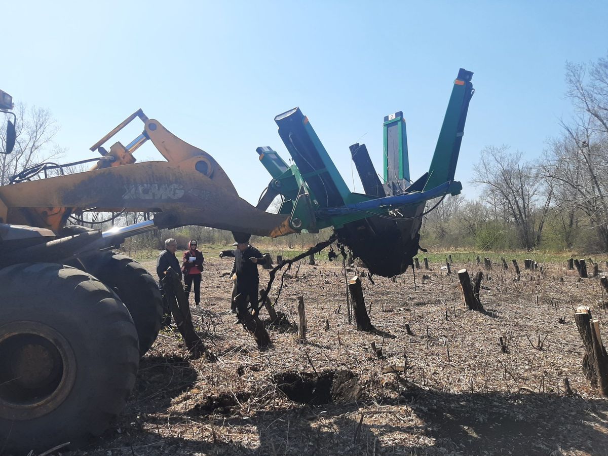 Пересадчик деревьев Bystron (тракторный)