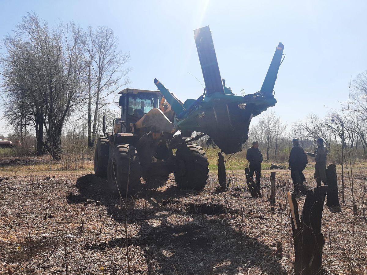 Пересадчик деревьев Bystron (фронтальный)