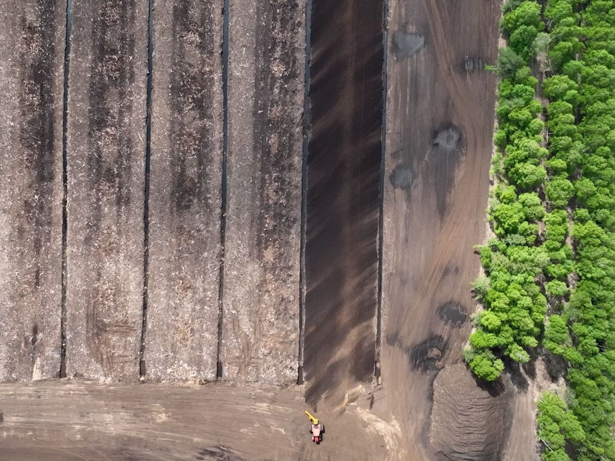 Профилировщик-бровкорез