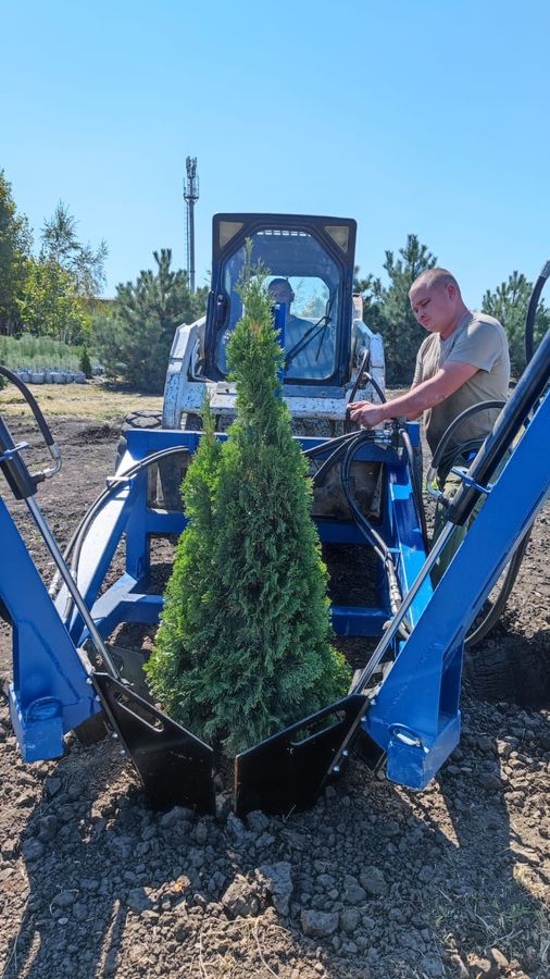 Пересадчик деревьев гидравлический (трактор или погрузчик)