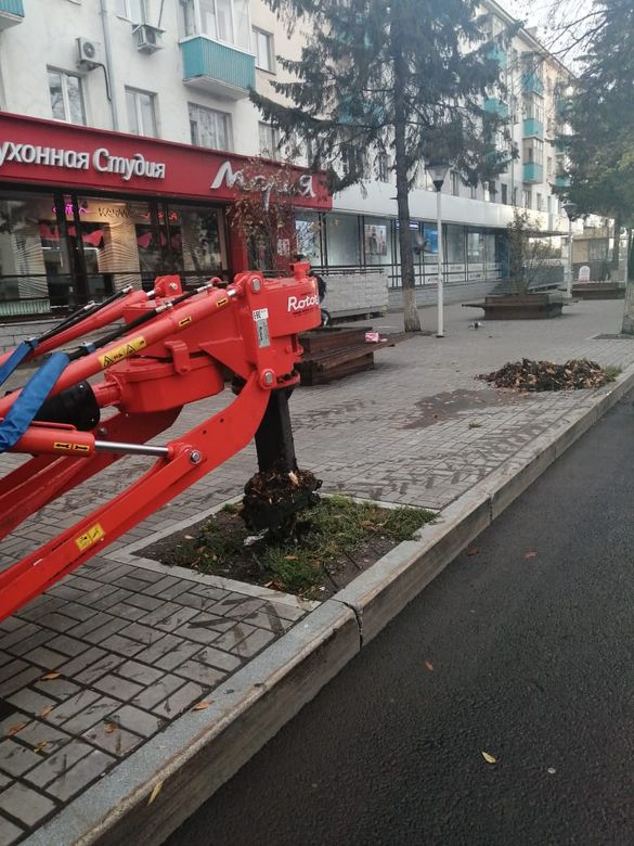 Пересадчик деревьев Bystron (фронтальный)