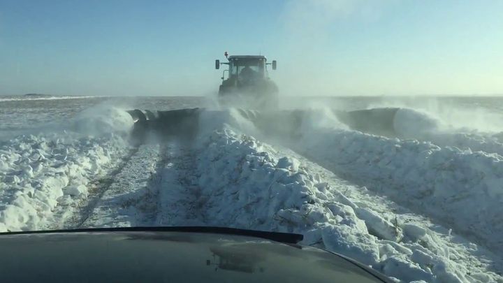Снегопах-валкователь СВШ-10