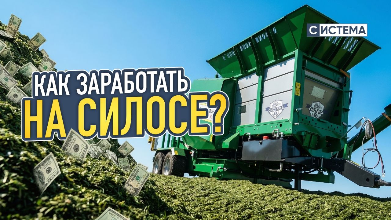 Как заработать на силосе в 2023 году?